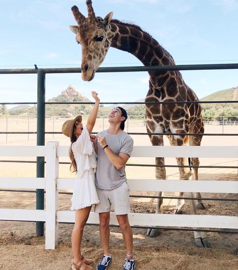 Kristin Johns en Instagram: “we met a very tall (& very hungry) new friend today 😯🦒👀 had the best best day at @malibusafaris” Date Ideas For Parents, Date Ideas For Married Couples, Ideas For Married Couples, Kristin Johns, Summer Date Ideas, Zoo Pictures, Giraffe Pictures, Zoo Photos, Ootd Poses