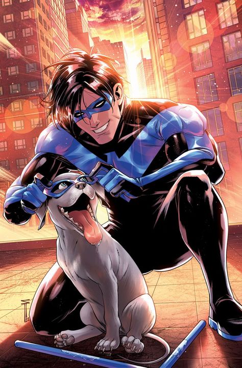 Nightwing Art, Nightwing And Starfire, Mick Schumacher, Inspector Gadget, Univers Dc, Dc Comics Artwork, Batman Family, Variant Covers, Dc Characters