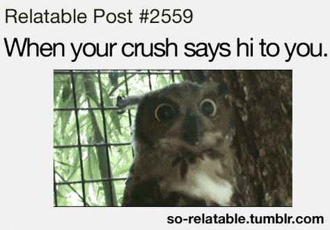 Work Crush, Crush Humor, Funny Relationship Quotes, Funny Jokes To Tell, Super Funny Quotes, Teen Humor, Funny Quotes For Teens, Teen Quotes, Funny Quotes About Life