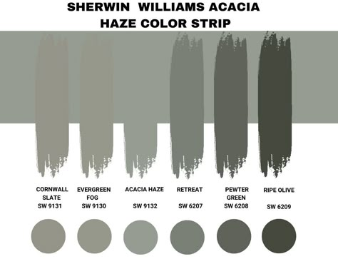 Sw Acacia Haze Color Palette, Acacia Haze Color Palette Ideas, Sw Acacia Haze Bedroom, Acacia Haze Sherwin Williams Coordinating Colors, Acacia Haze Coordinating Colors, Sherwin Williams Acacia Haze Exterior, Acacia Haze Color Palette, Acadia Haze Sw, Acadia Haze Sherwin Williams Bedroom