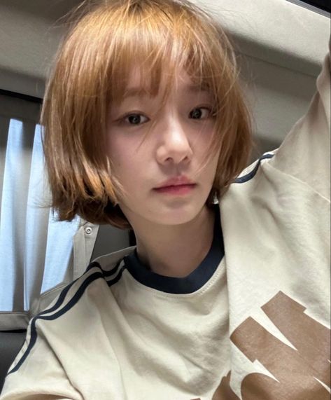 Park Gyu Young Short Hair, Park Gyu-young, Steam Girl, Short Dark Hair, Asian Short Hair, Hair Inspiration Short, Shot Hair Styles, Scene Hair, Hair Images