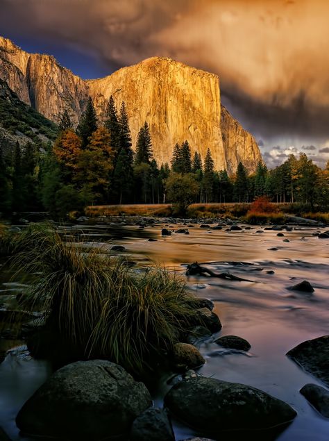 Yosemite by ybuhac - Discover America Photo Contest #ProfessionalPhotos #GreatPhotos #BeautifulPhotos Merced River, National Park Photos, Yosemite Falls, National Parks Usa, Tall Trees, Yosemite National Park, Beautiful Nature Scenes, Photo Contest, Nature Scenes