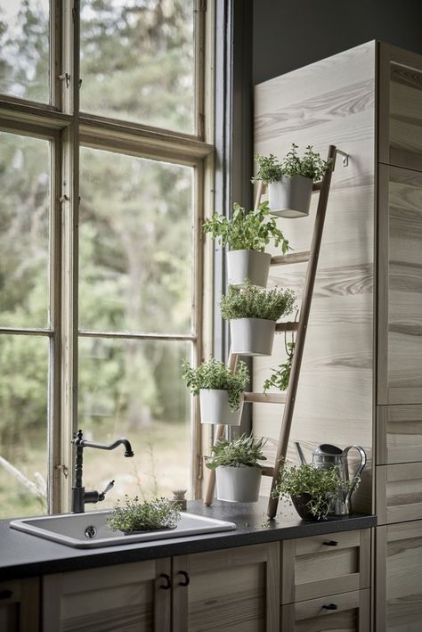 Prediction: You're Going to Love These 6 Plant-Filled Kitchen Window Ideas as Much as We Do | Hunker Kitchen Window Design, Bamboo In Pots, Herbs Garden, Plant Window, Kitchen Plants, Support Pour Plante, Kitchen Decor Apartment, Plant Shelf, Diy Plant Stand