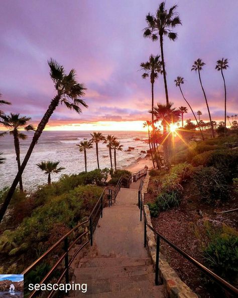 Laguna Beach Laguna Hills California, 1000 Steps Laguna Beach, Laguna Beach Photos, Laguna Beach California Photography, Laguna Beach California, I Love The Beach, California Beach, California Dreaming, California Dreamin'