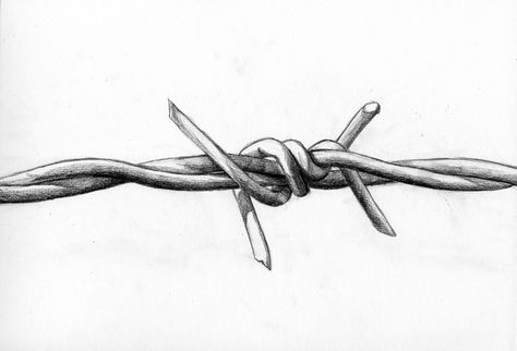 barbed wire Barbed Wire Drawing, Barbed Wire Tattoos, Barbed Wire Art, Barbed Wire Fencing, Barb Wire, Wire Drawing, Wire Fence, Barbed Wire, Drawing Images