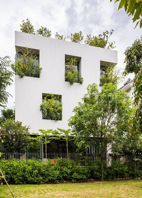 Vtn Architects, Vo Trong Nghia, Vertical Forest, Green Facade, Peter Zumthor, Park House, Water House, Ivy Plants, Green Architecture