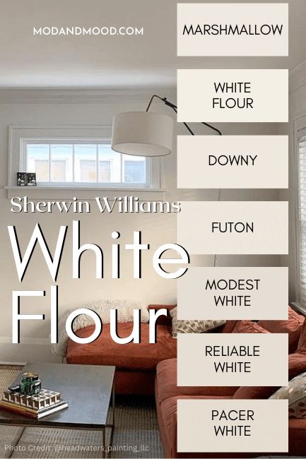 Sw Futon Paint, White Flour Sherwin Williams Exterior, White Flour Paint Sherwin Williams, Sherwin Williams White Flour Cabinets, Sw White Flour Walls, Sherwin Williams White Flour Walls, Sw Warm White Paint Colors, Sw White Flour Paint, Sherwin Williams White Paint Colors For Walls