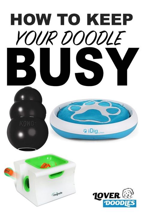 Dog Boredom Busters While At Work, Ideas To Keep Dogs Busy, Keep Puppy Busy While At Work, How To Keep A Puppy Busy, Activities For Puppies, Best Dog Toys To Keep Them Busy, Ways To Keep Your Dog Entertained, How To Keep Your Dog Entertained, Dog Busy Toys