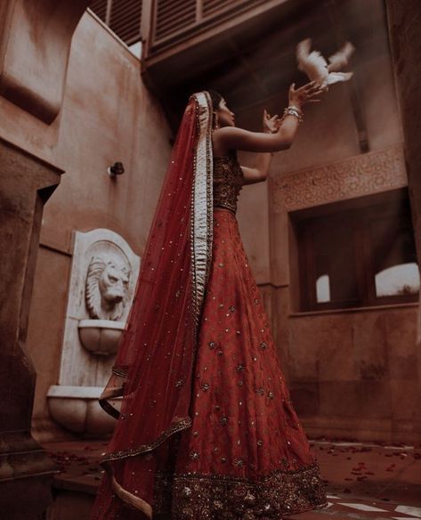 Vintage Indian aesthetic, red saree, dove, grains, Indian aesthetic, henna, Indian jewellery Aesthetic Indian, South Asian Aesthetic, Royal Indian, Royalty Aesthetic, Royal Aesthetic, Indian Photoshoot, Desi Clothes, Desi Wedding, Aesthetic People