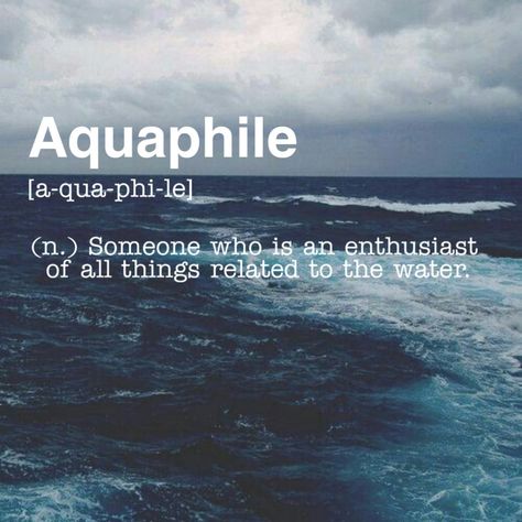 Aquaphile Someone who is an enthusiast of all things related to the water. Aquaphile Quotes, Ocean Definition Aesthetic, Water Related Words, Words To Describe The Ocean, Beautiful Words To Describe A Person, Words Related To Art, Ocean Meaning, Phobia Words, Ocean Words