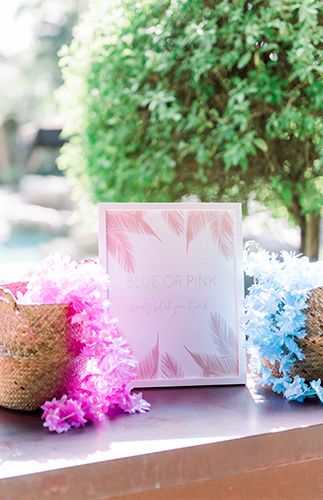 Gender Reveal Ideas Hawaiian, Tropical Gender Reveal Ideas, Gender Reveal Tropical Theme, Hawaii Gender Reveal, Tropical Gender Reveal Party, Luau Gender Reveal, June Gender Reveal Ideas, Hawaiian Gender Reveal, Gender Reveal Luau