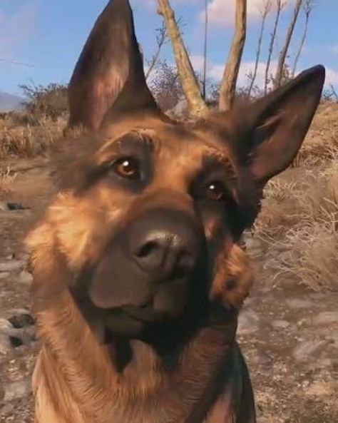 Dogmeat Tattoo, Fallout 4 Oc, Dog Meat Fallout, Fallout Dogmeat Art, Dogmeat Fallout, Dogmeat Fallout 4, Followers Of The Apocalypse Fallout, Fallout 76 Memes Funny, Fallout Memes Funny