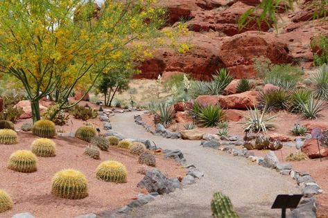 Snow Canyon State Park, Paradise Flowers, St George Utah, Red Hill, Desert Garden, Better Homes And Garden, Native Garden, Garden Oasis, Desert Plants