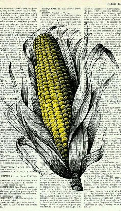 Corn Illustration, Corn Painting, Dictionary Book, Stippling Art, Really Cool Drawings, Pen Art Drawings, Vintage Dictionary, Corn On The Cob, Art Painting Gallery