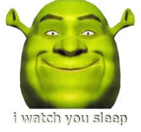 Creepy Meme, Shrek Memes, Buzzfeed Quizzes, Funny Profile, Funny Profile Pictures, Wholesome Memes, Shrek, Reaction Pictures, Mood Pics