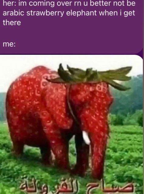 Strawberry Elephant, Tik Tok, Elephant, On Twitter, Twitter, Green, Red