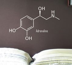 Adrenaline Molecule, Dopamine Molecule, Molecular Shapes, Science Tattoo, Removable Vinyl Wall Decals, Chemical Structure, Sleepy Time, Hallway Decor, Neurology