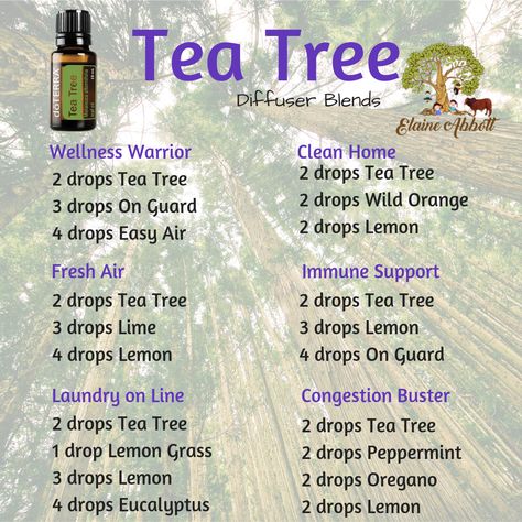 Doterra Tea Tree Diffuser Blends, Tea Tree Essential Oil Blends, Tea Tree Diffuser Blends, Tea Tree Essential Oil Benefits, Agarbatti Packaging, Diy Oil Diffuser, Essential Oil For Hair, Candle Factory, Doterra Diffuser Blends