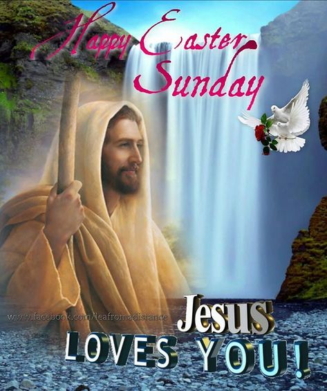 Easter Sunday Pictures, Easter Sunday Jesus, Easter Sunday Images, Happy Easter Quotes, Happy Easter Sunday, Sunday Pictures, Sunday Greetings, Sunday Wishes, Sunday Images