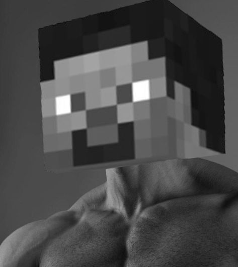 Steve Meme, Doom Demons, Minecraft Villager, Chad Image, Giga Chad, Chemistry Art, Saitama One Punch Man, Minecraft Steve, Minecraft Anime