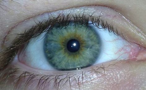 Hazel Eyes Hair Color, Blue Hazel Eyes, Eye Color Facts, Grey Green Eyes, Pretty Eyes Color, Rare Eyes, Hazel Color, Hazel Green, Blue Green Eyes