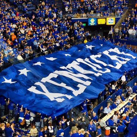 Kentucky University Aesthetic, University Of Kentucky Aesthetic, Reed Sheppard, Rupp Arena, University Of Ky, Kentucky University, Kentucky Sports, Kentucky Wildcats Basketball, Wildcats Basketball