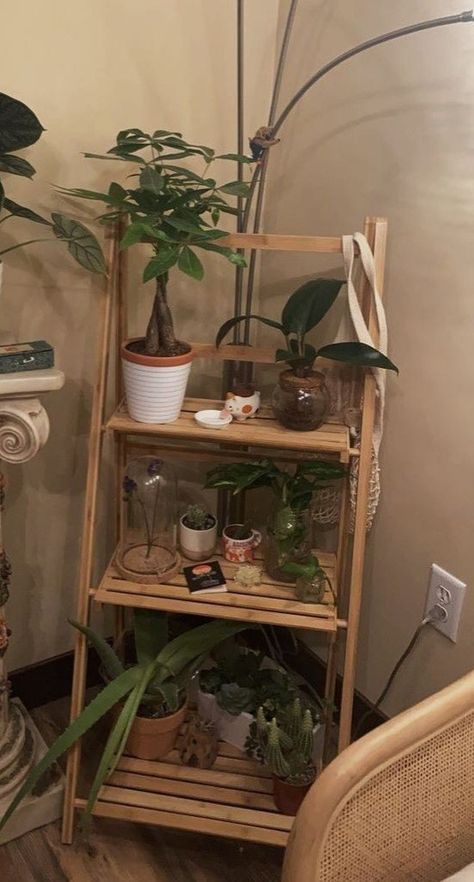 Aethstetic Room Idea Vintage, Beachy Alternative Aesthetic, Shelf Of Plants, Wooden Astetic Room, Earthy Grunge Aesthetic Room, Room Inspo Nature, Vintage Clean Room, Dark Cottage Core Room, Botanical Room Aesthetic