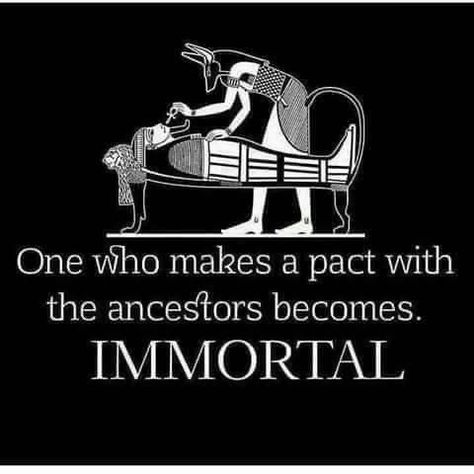 Ancestors Quotes, African History Truths, Kemetic Spirituality, Spiritual Awakening Quotes, Ancient Egyptian Gods, Black Consciousness, African Spirituality, Spirit Science, Awakening Quotes