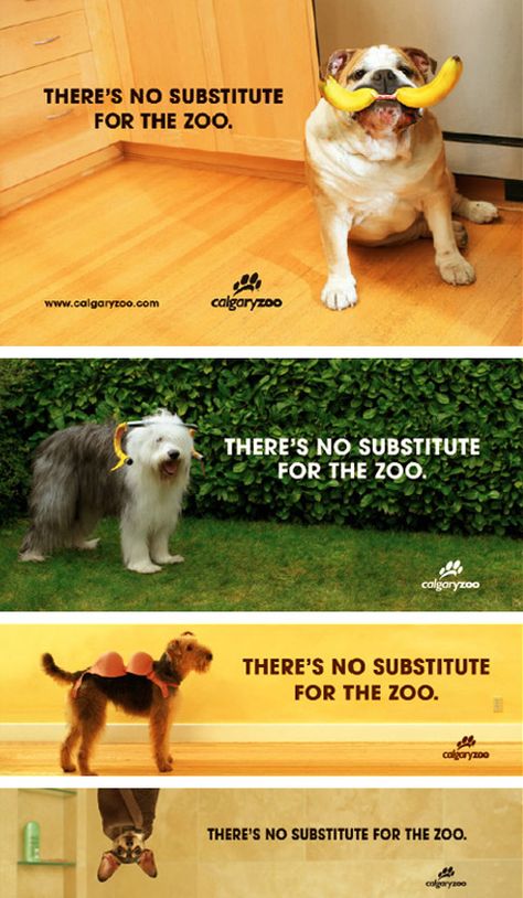 Calgary Zoo Ad Campaign Zoo Marketing, Pet Advertising, Art Direction Advertising, Toronto Zoo, Zoo Party, Funny Ads, Practical Jokes, Ad Campaigns, Cute Dogs And Puppies