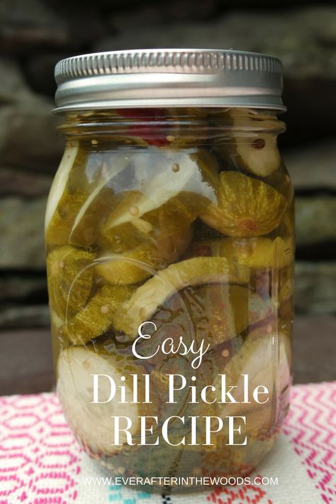 These dill pickle spears are so tasty and really easy to make. I usually double the batch of liquid that I am making to ensure that I have enough to pickle the vegetables I am trying to can. I have run out a few times and then it is such a pain when you have to wait for the mixture to come together again. I Easy Dill Pickle Recipe, Dill Pickle Spears, Pickle Spears, Refrigerator Pickles Dill, Cherry Tomato Plant, Dill Pickle Recipe, How To Make Pickles, Dill Pickle Chips, Pickle Chips