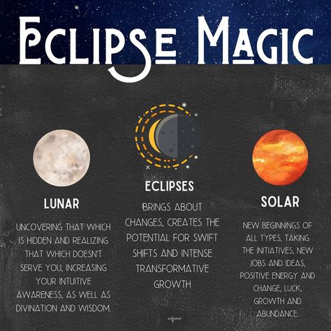 Incantari on Instagram: “Evening loves, There are two types of eclipses: lunar and solar. They occur when either a new or full moon aligns perfectly with the…” Solar Eclipse Magic, Eclipse Astrology, Solar Lunar, Full Moon Eclipse, Blood Moon Eclipse, Solar And Lunar Eclipse, Eclipse Party, Moon Journal, Astrology Books