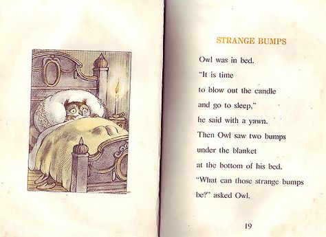 Owl at home, Strange Bumps story Owl At Home, Book Owl, Arnold Lobel, Can't Sleep, Weird Stuff, A Cup Of Tea, Book Sale, Go To Sleep, Cup Of Tea