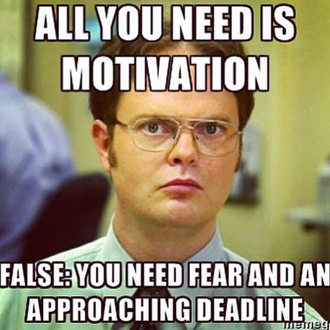 Grad School Finals Grad School Meme, Grad School Quotes, Graduate School Humor, Grad School Problems, Quotes For College Students, Psych Memes, Phd Humor, Psychology Memes, Psychology Humor