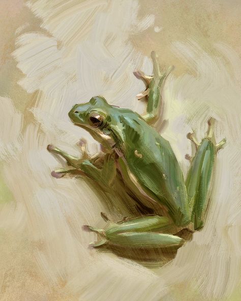 Lane Brown Frog Painting, Painting Sketchbook, Oil Painting Inspiration, Gouache Art, Tree Frog, Tree Frogs, Amazing Art Painting, Mini Canvas Art, Classical Art