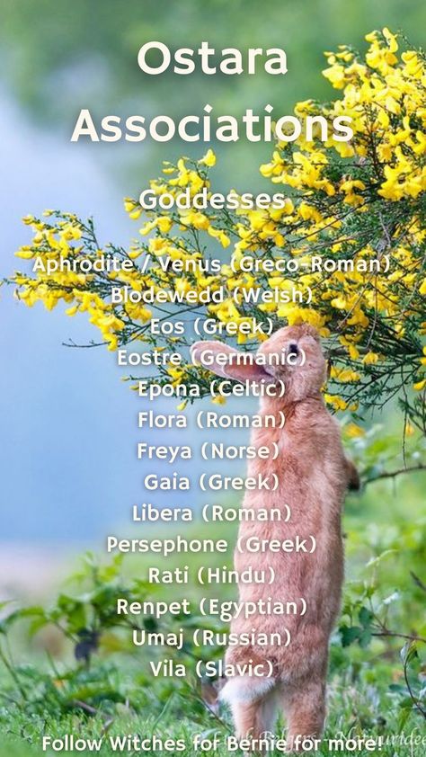 Which Goddesses will you choose to work with and honor on Ostara, Sunday 3/20/22? Share below and don't forget to join the collective candle ritual! Spring Equinox Ritual, Ostara Ritual, Wicca Holidays, Tarot Card Artwork, Rituals Products, Gaia Goddess, Candle Ritual, Wiccan Sabbats, Which Witch