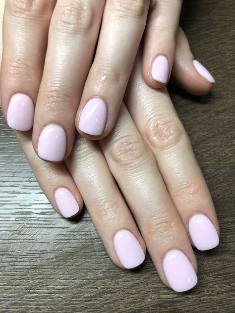 Nail Colors Light Pink, Dnd Soft Pink, Baby Pink Nails Acrylic, Summer Nail Art Ideas, Blush Pink Nails, Posh Nails, Pink Summer Nails, Pink Nail Colors, Baby Pink Nails