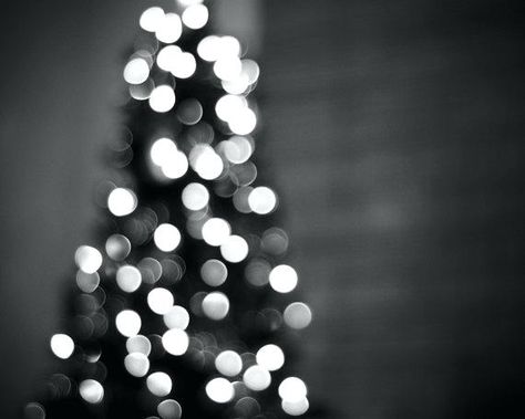 Black & White Christmas Tree Lights #Aesthetic Green Christmas Lights, Teal Christmas, Turquoise Christmas, Blue Lights, Christmas Lighting, Led Christmas Lights, Christmas Photography, White Christmas Tree, Noel Christmas