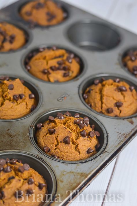 These Pumpkin Chip Muffins are a delicious THM:E snack or dessert! Low fat, sugar free, gluten/dairy/nut free - and no special ingredients needed! Baked Oatmeal Muffins, Pumpkin Cheesecake Muffins, Thm E, Briana Thomas, Pumpkin Chip, Blender Muffins, Thm Desserts, Oatmeal Muffins, Thm Recipes