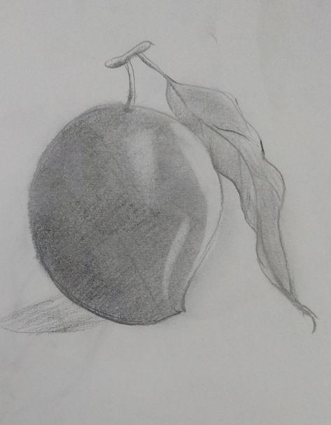 Mango drawing by pencil Mango Drawings Pencil, Mango Drawing, Fruit Drawing, Fruits Drawing, Mango Fruit, Cute Easy Drawings, Pencil Sketch, Pencil Drawings, Easy Drawings