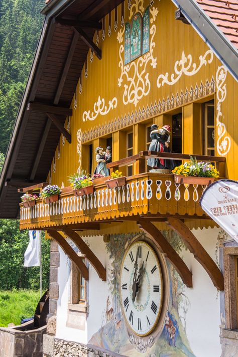 10 Living German Traditions in the Black Forest | The Travel Tester. Pictured: The ‘Cuckoo’s Nest’ of Hofgut Sternen in Hinterzarten. German Traditions, Forest Travel, Germany Food, German Houses, Black Forest Germany, Hansel Y Gretel, Cuckoo Clocks, German Heritage, The Black Forest