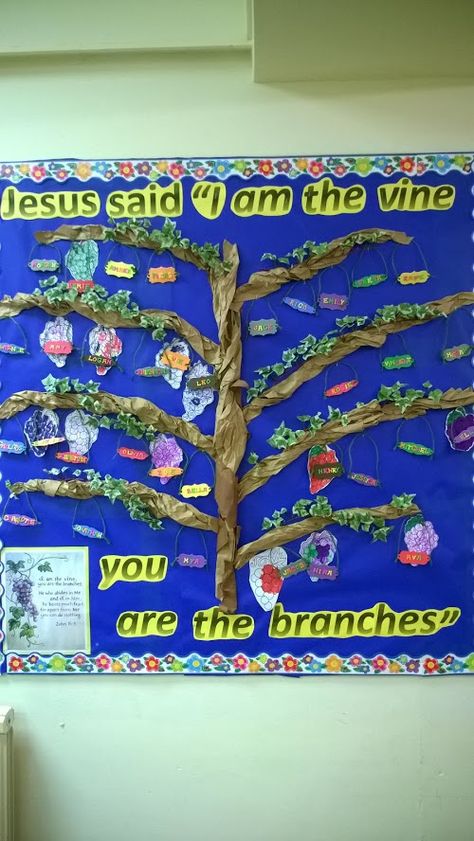 Jesus said "I am the vine you are the branches" bulletin board John 15:5 Bulletin Board, I Am The Vine You Are The Branches Bulletin Board, I Am The Vine You Are The Branches Craft, Vine Bulletin Board, I Am The Vine You Are The Branches, Family Tree Bulletin Board, Grape Vine Decor, Jesus Bulletin Boards, Camp Decorations