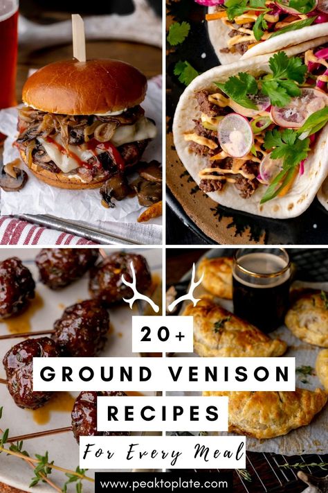 Summer Venison Recipes, Venison Mince Recipes, Deer Meat Recipes Ground, Ground Deer Meat Recipes, Venison Burger Recipes, Homemade Potato Chips Recipe, Venison Backstrap Recipes, Cycle Care, Ground Venison Recipes