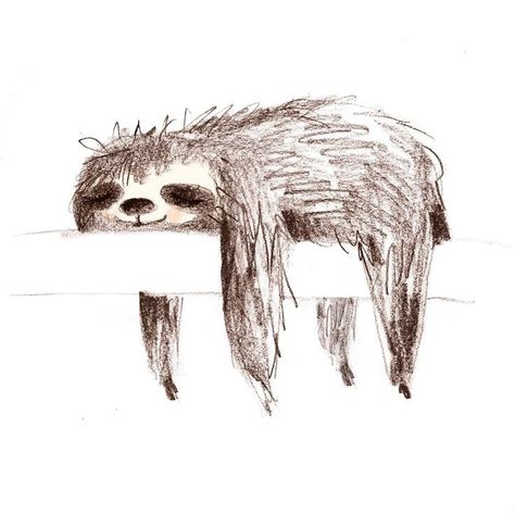 Sloth Drawing, Sloth Tattoo, Sloth Animal, Sloth Sleeping, Illustrator Character, Pencil Sketches Easy, Sketches Doodles, Sloth Art, Sloth Stuffed Animal