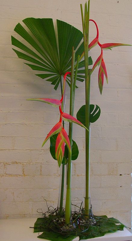 Pomelo Salad, Foliage Arrangements, Contemporary Flower Arrangements, Tropical Floral Arrangements, Nice Flowers, Tropical Florals, Table Flower Arrangements, Large Flower Arrangements, Ikebana Arrangements