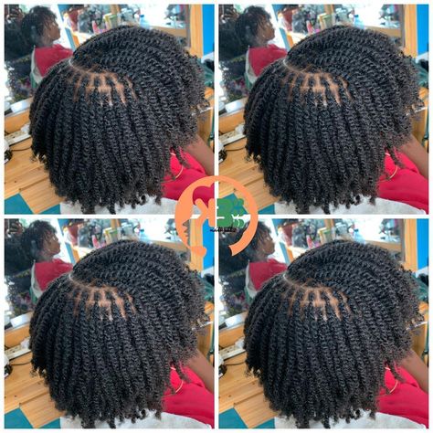 Short Hair Twist Styles, Flat Twist Hairstyles, Micro Locs, Short Box Braids Hairstyles, Natural Hair Short Cuts, Twist Braid, African Hair Braiding Styles, Natural Hair Twists, Quick Braided Hairstyles