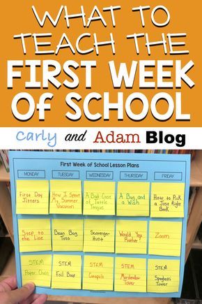 Back To School Fun Activities, Teaching Procedures, Behavior Charts, First Week Of School Ideas, Community School, School Lesson Plans, First Week Of School, First Day Of School Activities, Teacher Binder