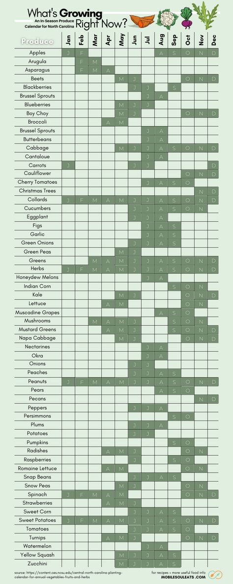 A guide to what's seasonal produce is growing in North Carolina for each month of the year. North Carolina Gardening, Vegetables In Season, North Carolina Food, Seasonal Produce Guide, Best Vegetables, Seasonal Vegetables, Food Budget, Fruit Popsicles, Whats In Season