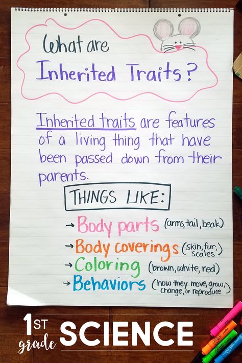 🦠1st grade SCIENCE TEACHERS🦠 Stuck on how to teach about Inherited Traits? This unit plan contains easy-prep, scripted lesson plans, with a PowerPoint and nonfiction read-aloud included with every lesson. Inherited Traits 3rd Grade, Inherited Traits Anchor Chart, 1st Grade Science Lessons, Living And Nonliving Things, 3rd Grade Science, Inherited Traits, Living And Nonliving, Science Stations, Learned Behaviors