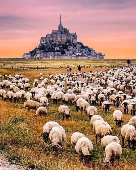 🇫🇷hello_france (@hello_france) • Instagram photos and videos Mt St Michel, Sky Sea, Travel Trip, Landscape Photos, Golden Gate, World Heritage, Wonderful Places, Maldives, Sunrise Sunset