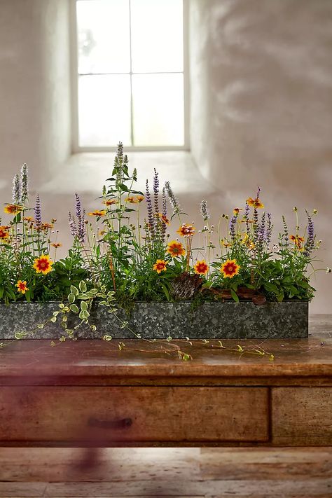 Habit + Form Rectangle Tray | Terrain Potted Plant Centerpieces, Plant Trays, Plant Centerpieces, Window Sill Decor, Flowers In The Attic, Rectangle Planters, Greenery Centerpiece, Plant Tray, Fall Planters